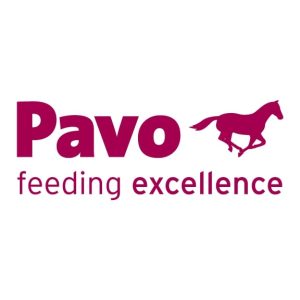 Pavo Logo