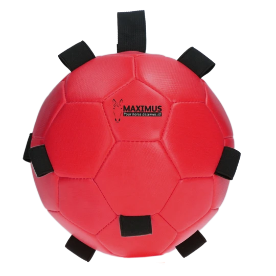 MAXI5301-maximus-fun-play-ball-red